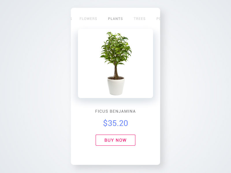 DailyUI 